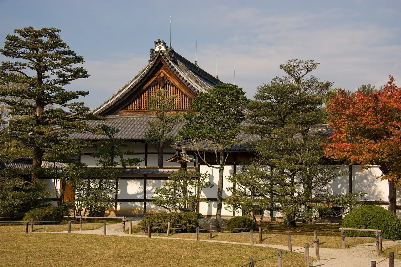 The Honmaru Palace at Nijo Castle behind pine trees and a red autumn maple, seen across the lawn of the Honmaru garden