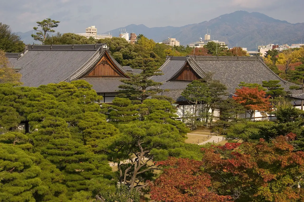 The roofs of the Honmaru Palace among pines and red maples, seen from the keep tower base at Nijo Castle, with mountains behind